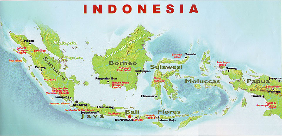 About Indonesia Tours - Indonesia Birding Tours - Bird Watching